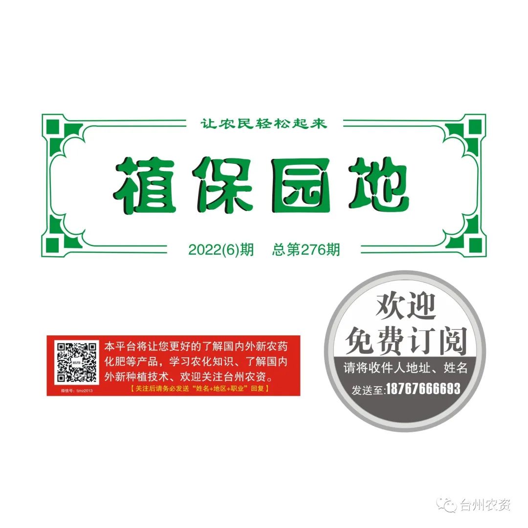 梅雨季節來臨，柑橘即將穩果，注意管理好夏梢，合理施肥打藥