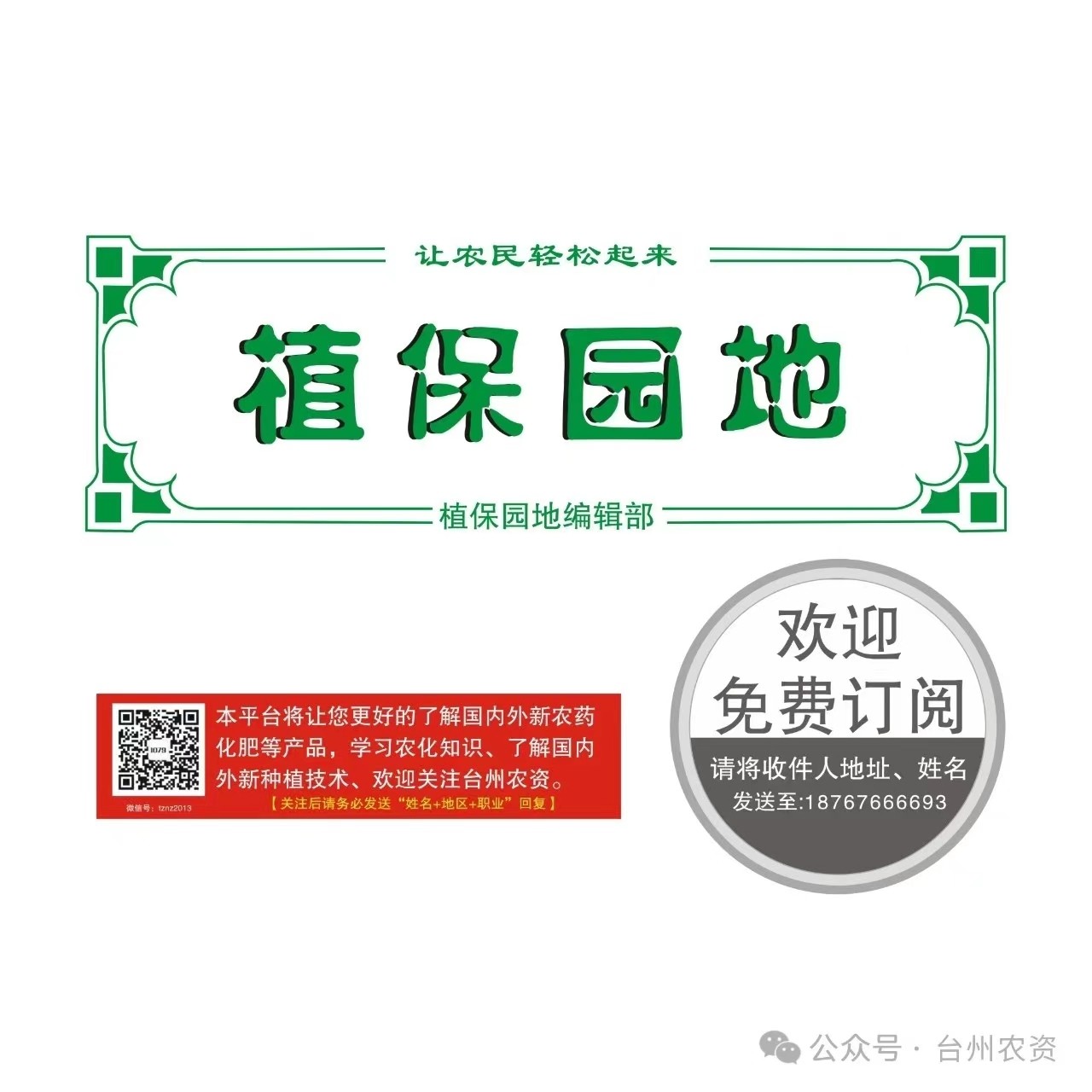 單季稻二化螟發生為害動態與英派福防控試驗報告